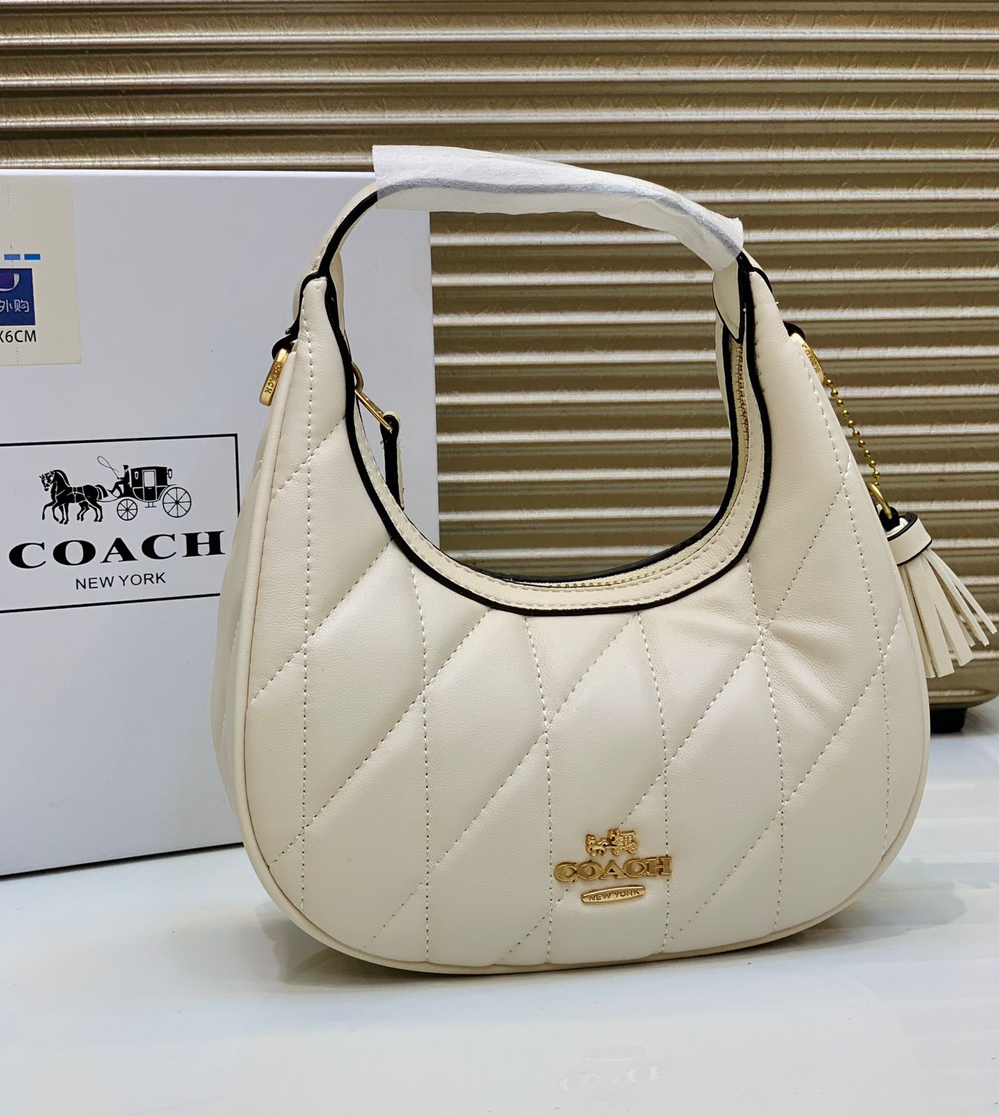 Coach Moon Soft